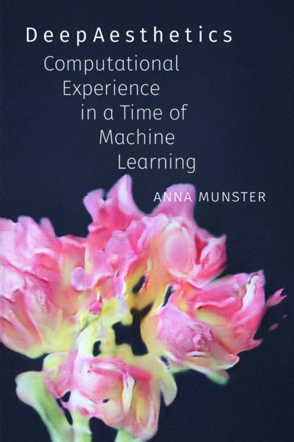 DeepAesthetics - Computational Experience in a Time of Machine Learning