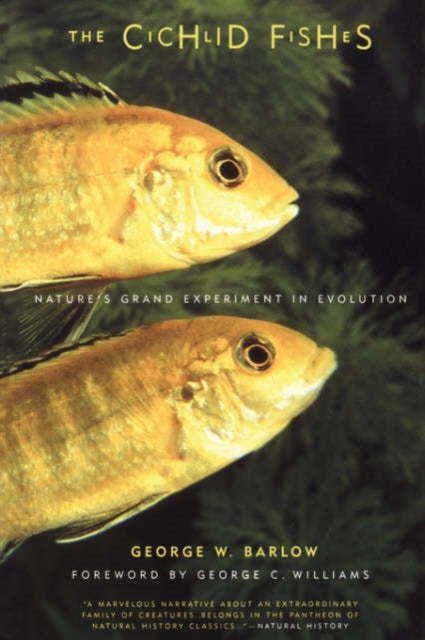 The Cichlid Fishes - Nature's Grand Experiment In Evolution