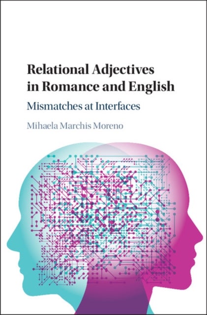 Relational Adjectives in Romance and English - Mismatches at Interfaces