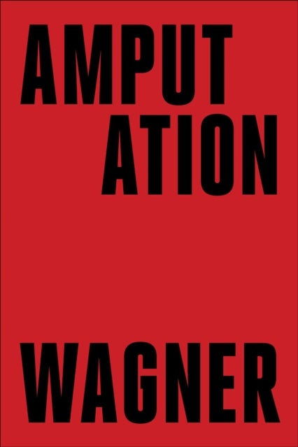 Amputation - A Novel
