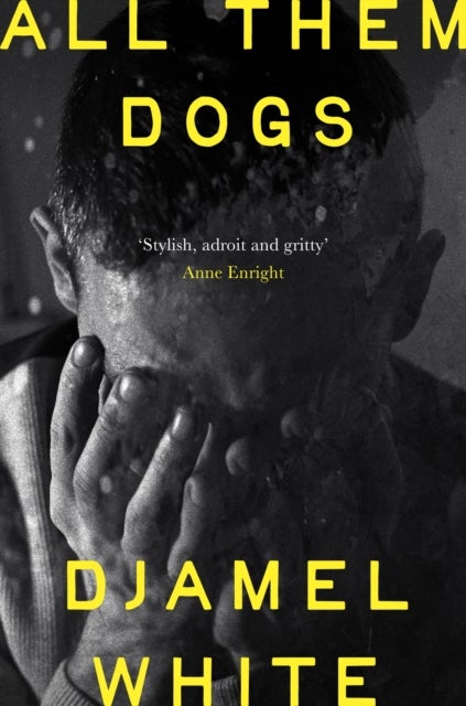 All Them Dogs - One of the most anticipated debuts of 2026: A heartbreaking literary thriller from one of Ireland's most exciting writers