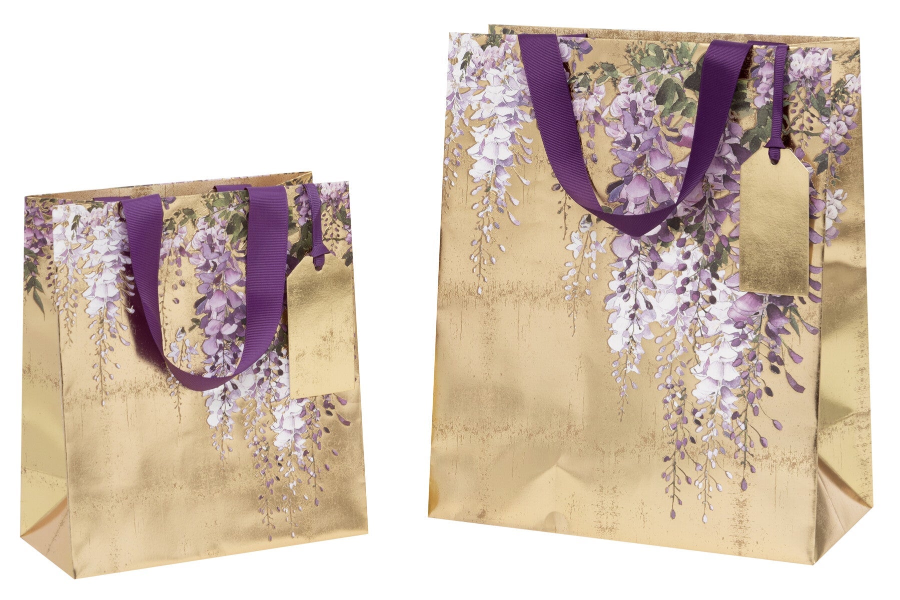 Gavepose Guilded Wisteria M