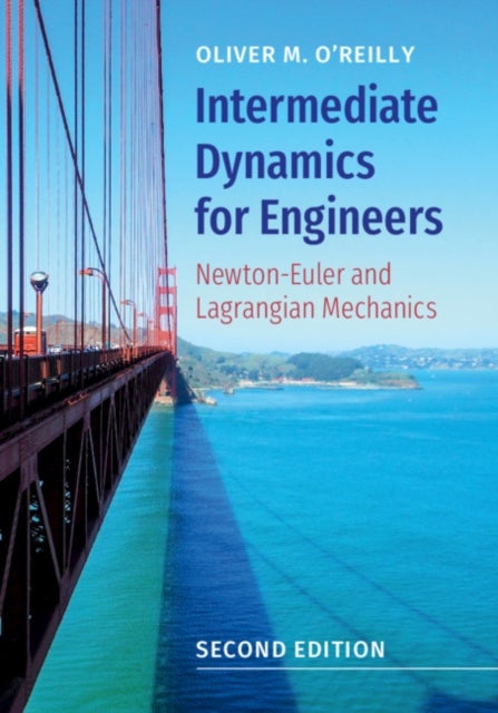 Intermediate Dynamics for Engineers - Newton-Euler and Lagrangian Mechanics