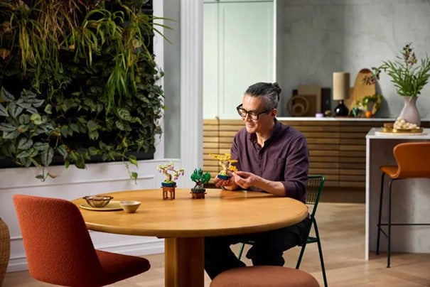 Lego Små bonsai-trær 10373