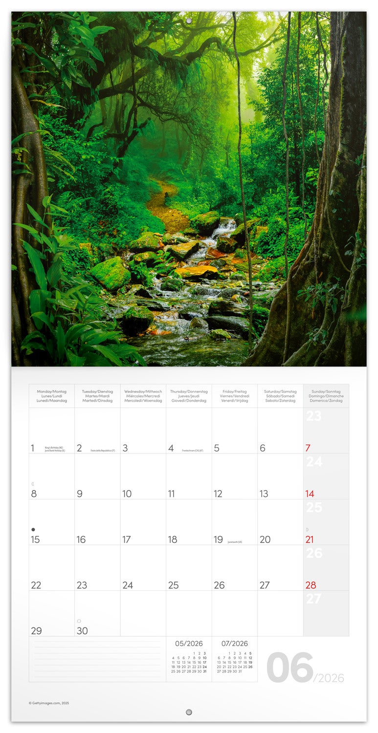 Kalender 2026 30x30 Amazing Rainforest