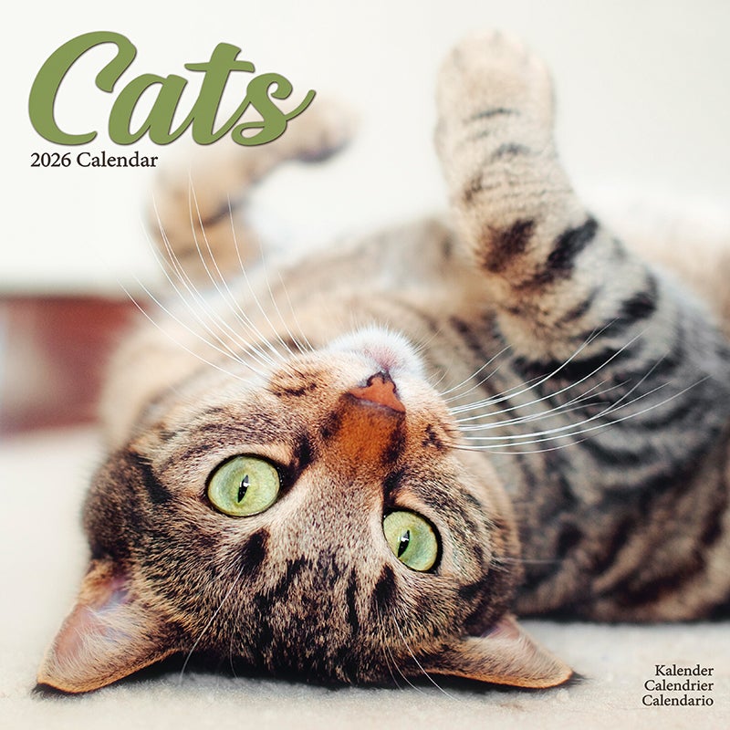 Kalender 2026 30x30 Cats
