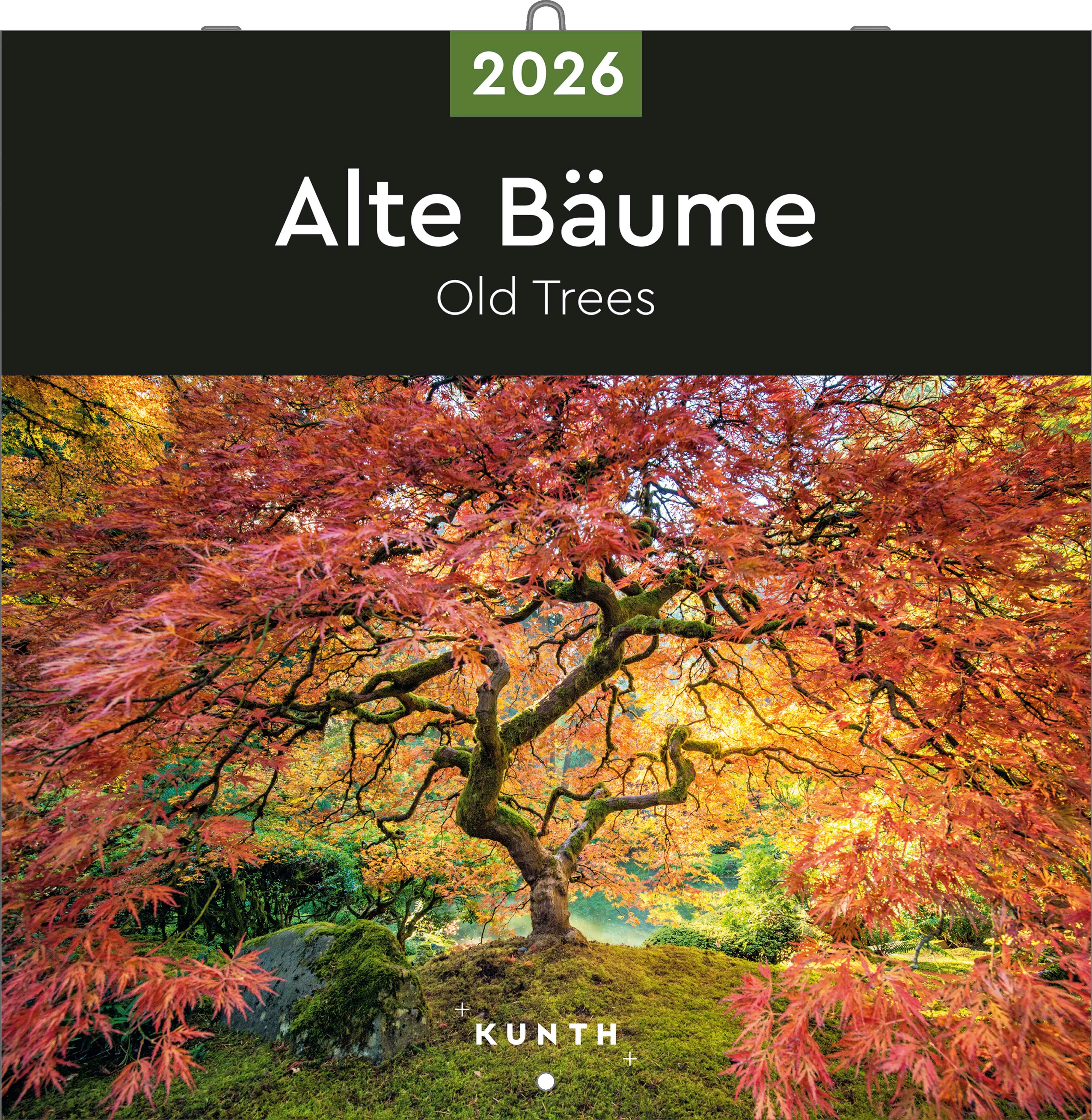 Kalender 2026 30x30 Old Trees