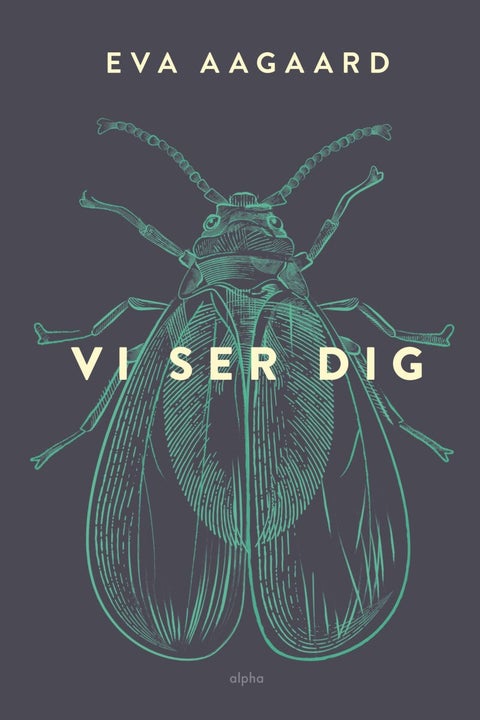 Vi ser deg