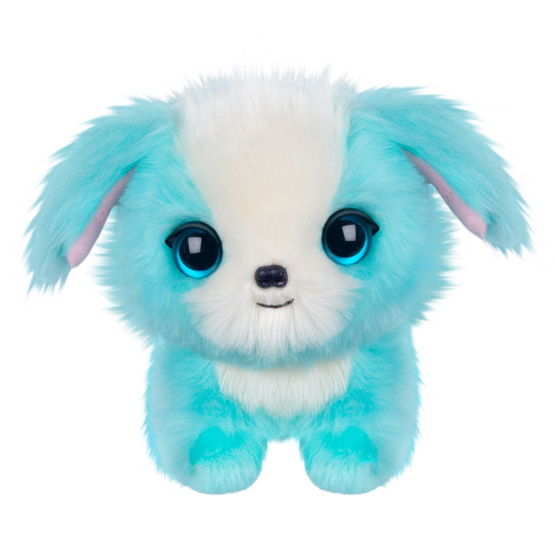 Scruff-A-Luvs Blue