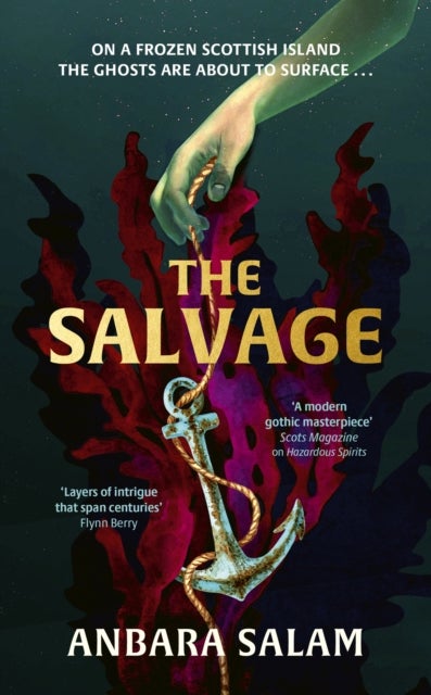 The Salvage - ‘A gothic tale with a powerful sense of place and an eerie atmosphere’ Sunday Times