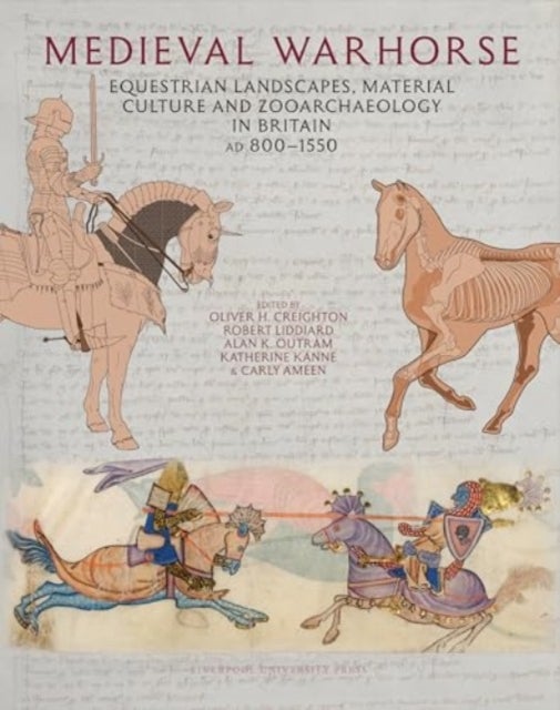 Medieval Warhorse