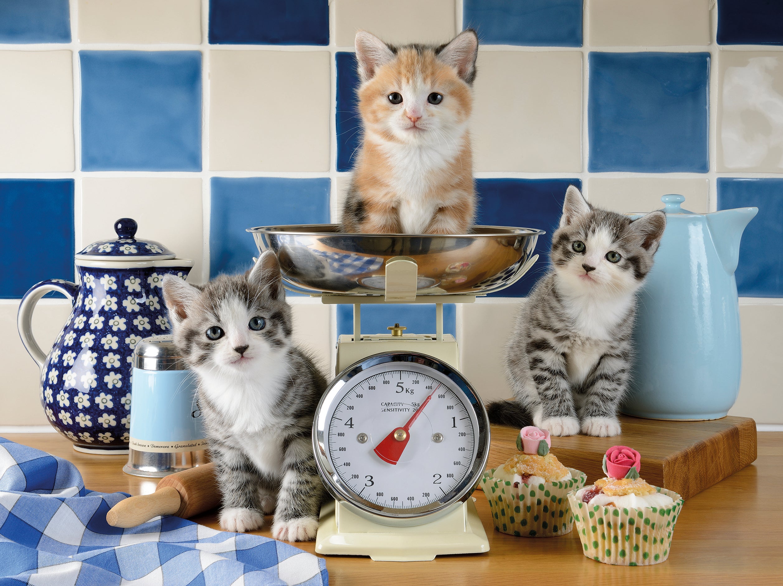 Puslespill 1500 Søte Katter Ravensburger