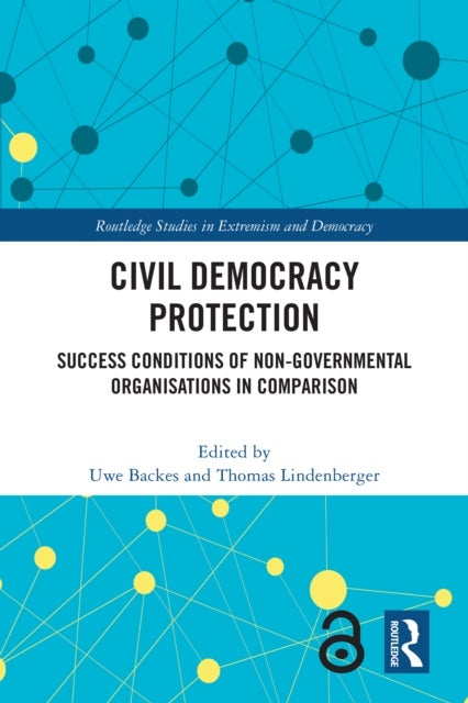 Civil Democracy Protection - Success Conditions of Non-Governmental Organisations in Comparison