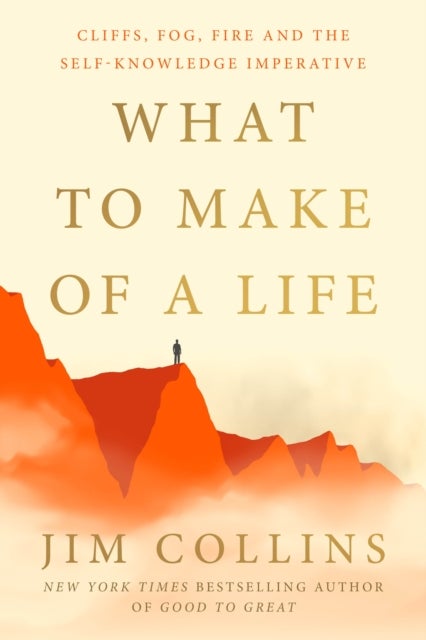 What to Make of a Life - Cliffs, Fog, Fire and the Self-Knowledge Imperative