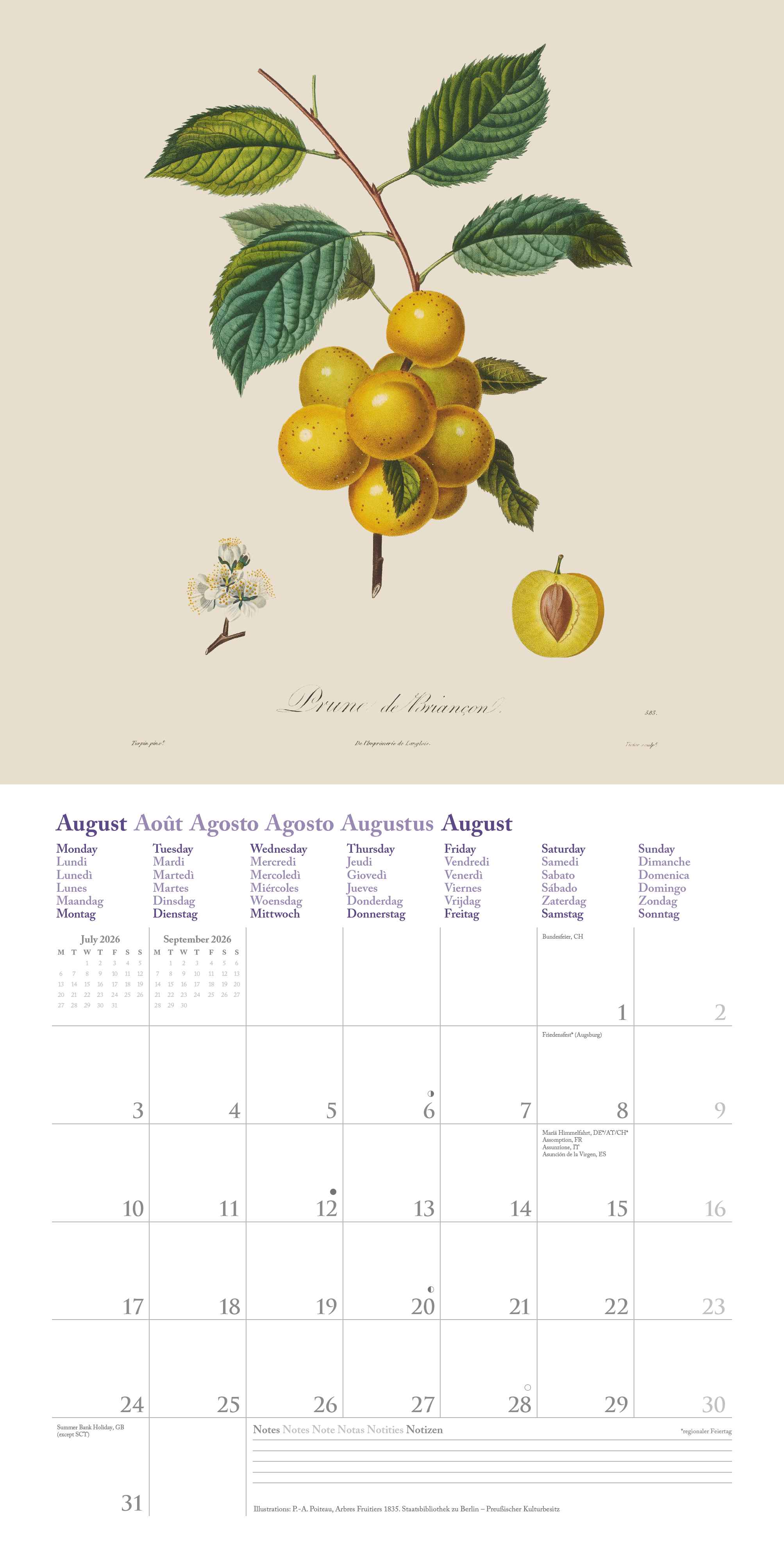 Kalender 2026 30x30 Fruits
