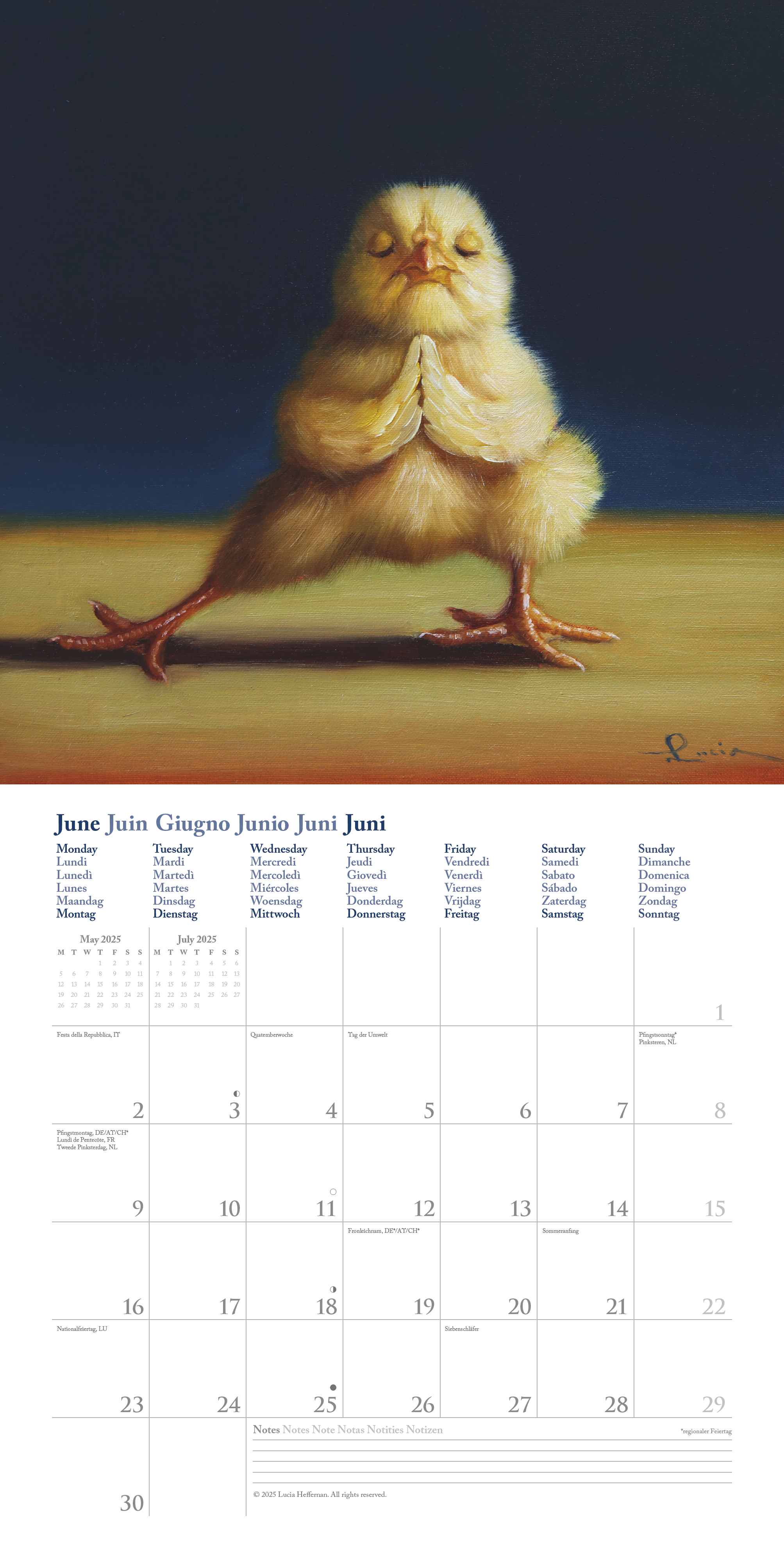 Kalender 2026 30x30 Yoga Chicks