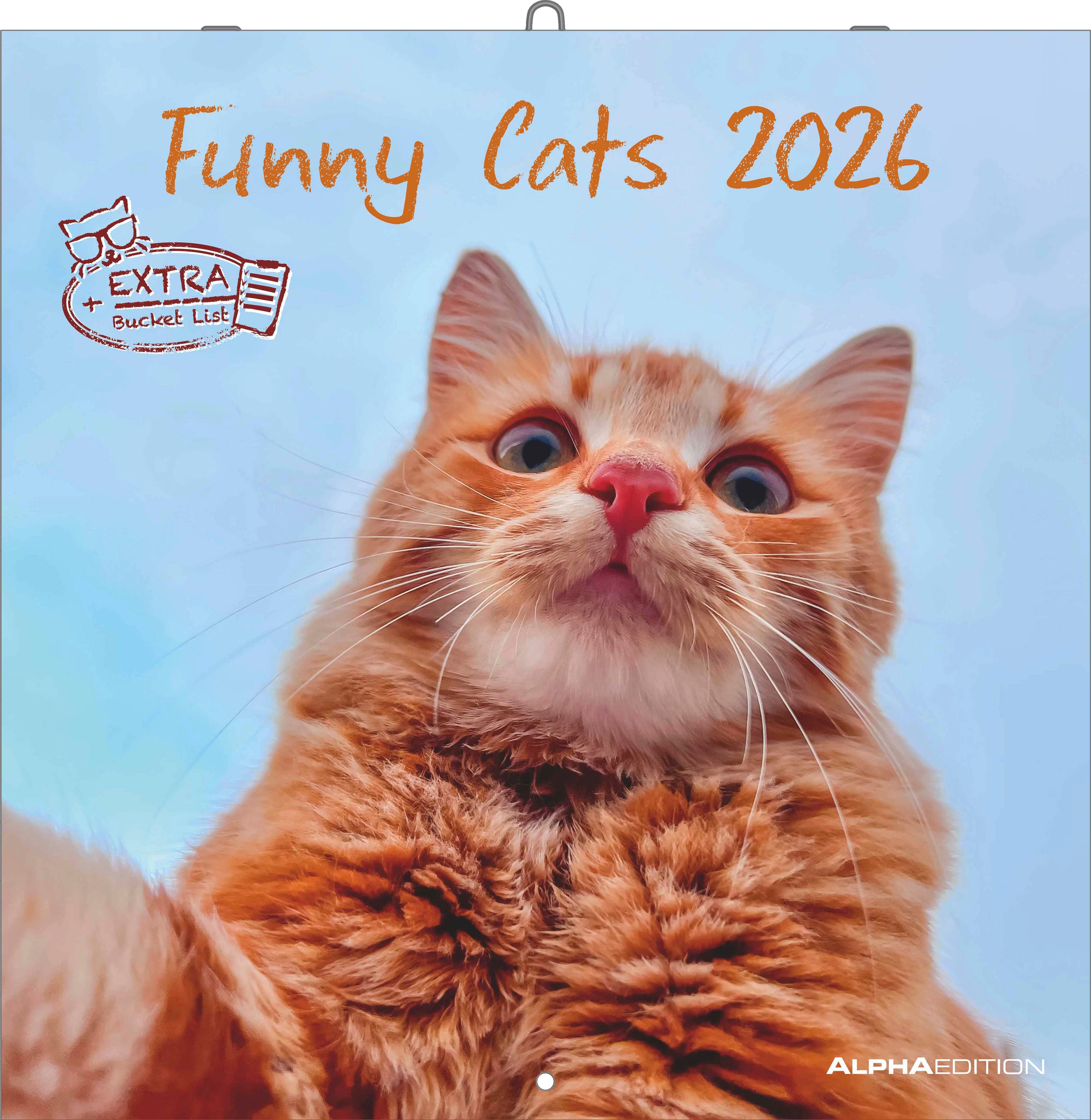 Kalender 2026 30x30 Funny Cats