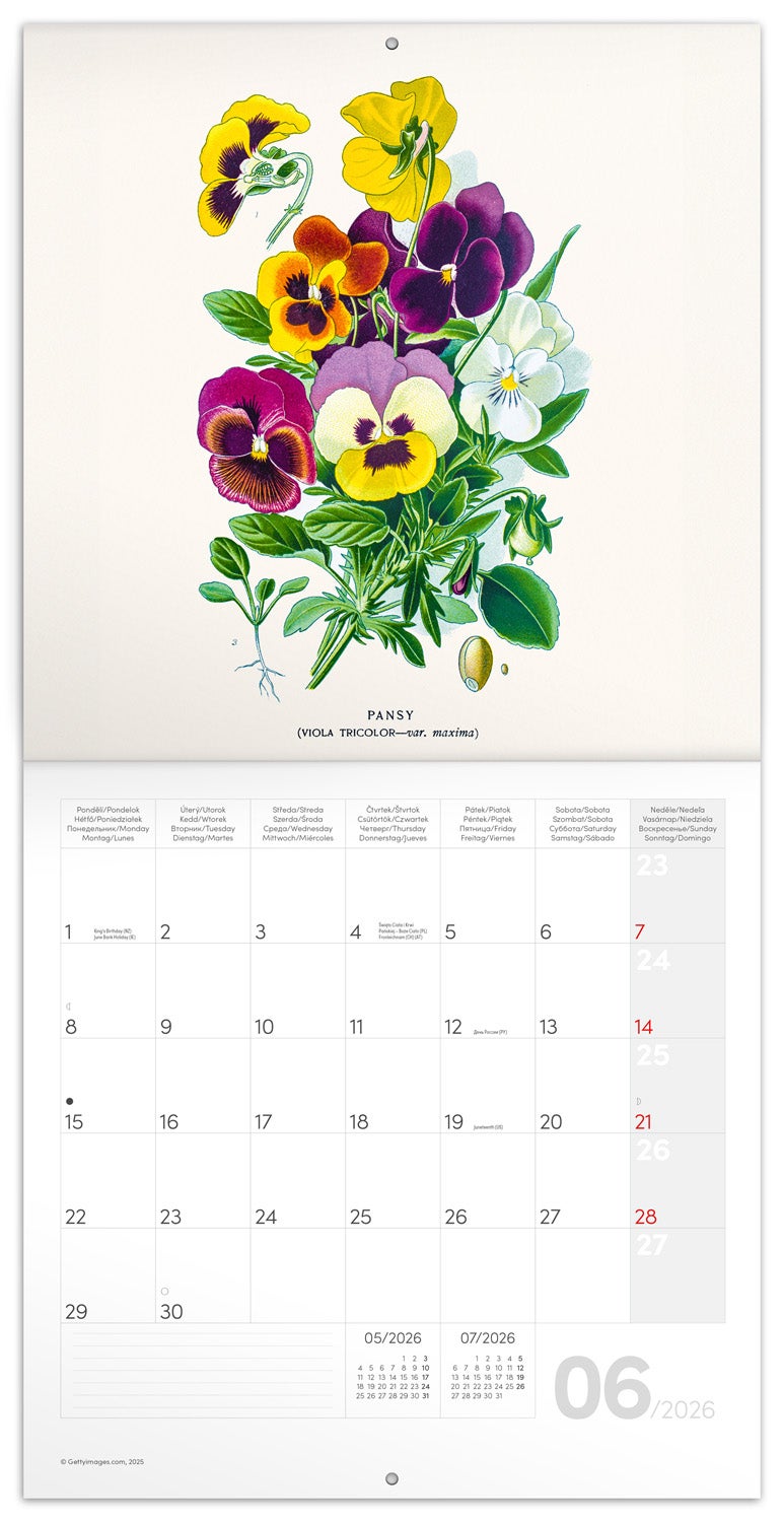 Kalender 2026 30x30 Herbarium 2026