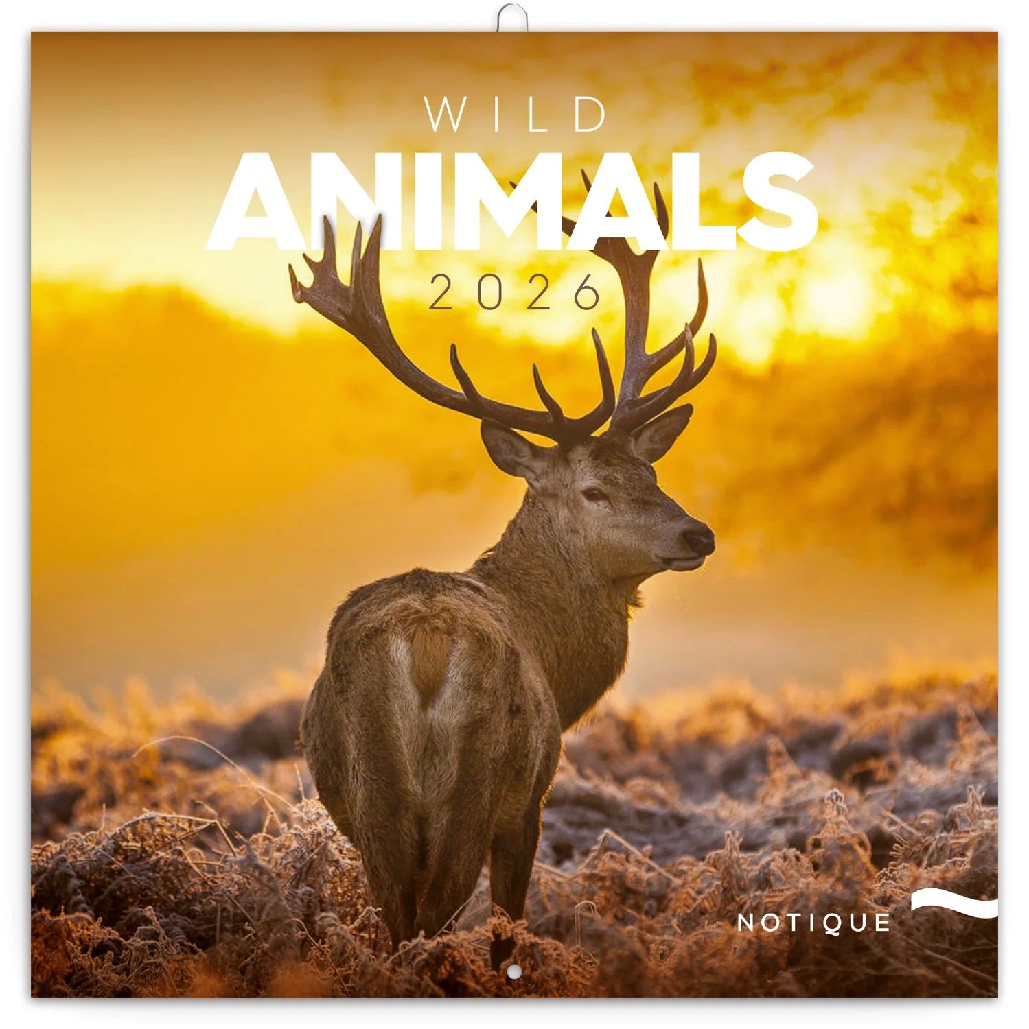 Kalender 2026 30x30 Wild Animals