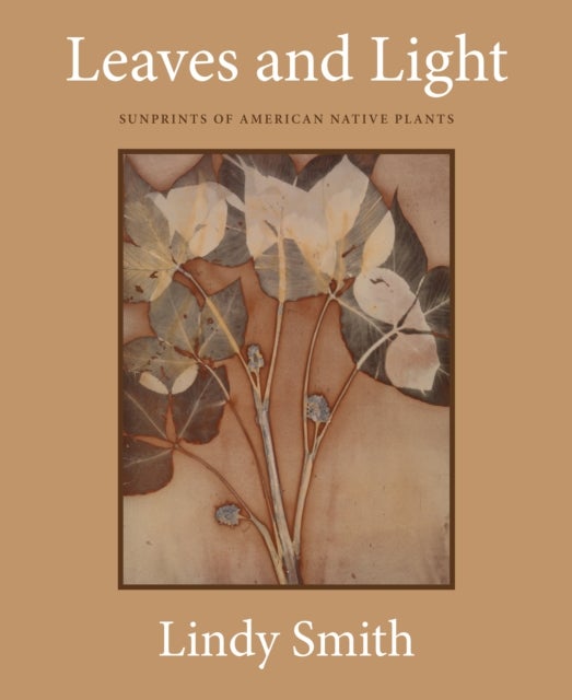 Leaves and Light - Sunprints of American Native Plants