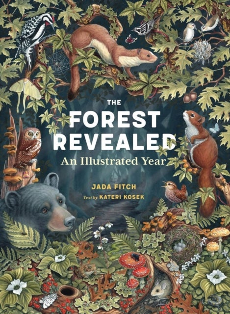 The Forest Revealed - An Illustrated Year