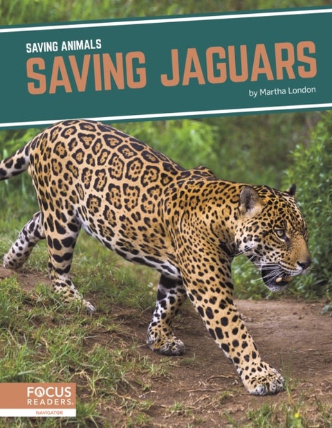 Saving Animals: Saving Jaguars