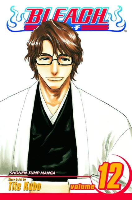 Bleach, Vol. 12 - Flower on the Precipice