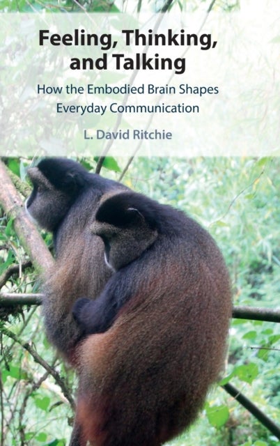 Feeling, Thinking, and Talking - How the Embodied Brain Shapes Everyday Communication