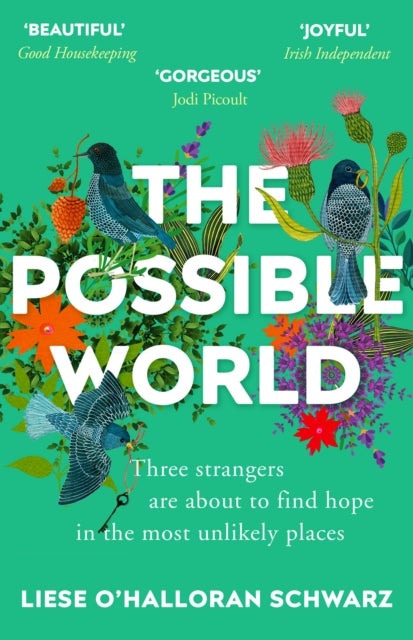 The Possible World