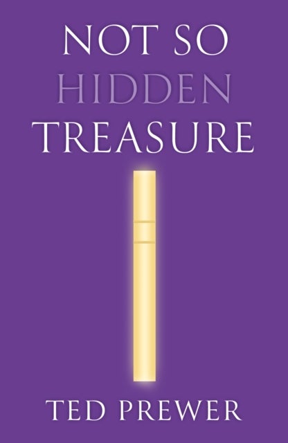 Not So Hidden Treasure