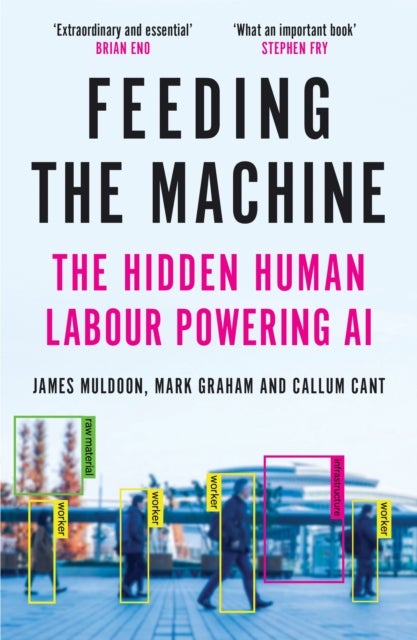 Feeding the Machine - The Hidden Human Labour Powering AI