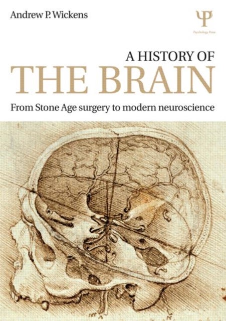 A History of the Brain - From Stone Age surgery to modern neuroscience