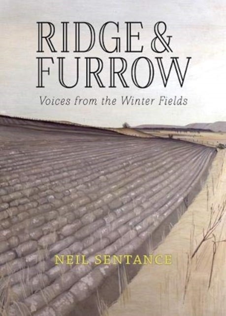 Ridge and Furrow - Voices from the Winter Fields