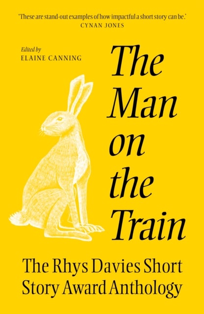 The The Man on the Train - The Rhys Davies Short Story Competition Anthology