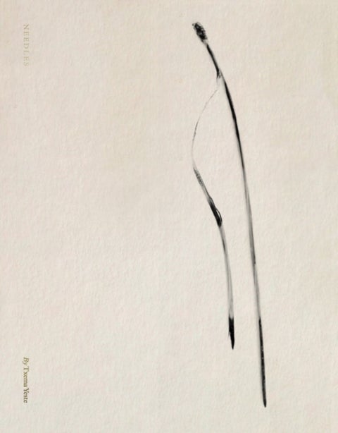 Txema Yeste: Needles