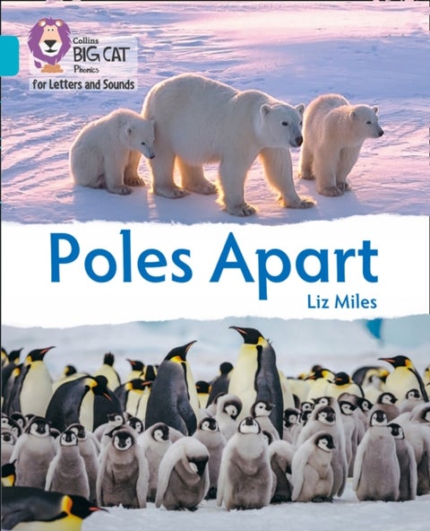 Poles Apart - Band 07/Turquoise