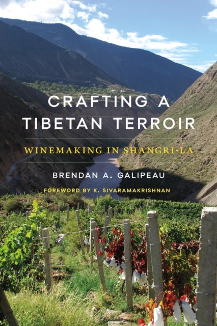 Crafting a Tibetan Terroir - Winemaking in Shangri-La