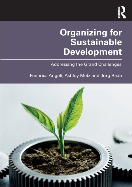 Organizing for Sustainable Development - Addressing the Grand Challenges