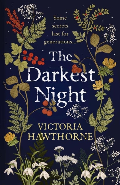 The Darkest Night - a twisty historical mystery to keep you reading through the night