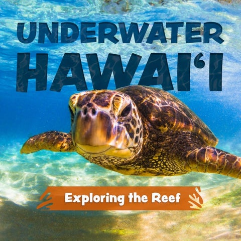 Underwater Hawai'i: Exploring the Reef - A Children's Picture Book about Hawai'i