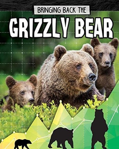 Grizzly Bear - Bringing Back The