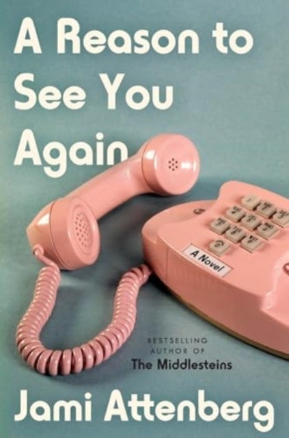 A Reason to See You Again - A Novel
