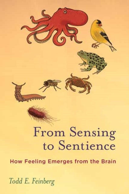 From Sensing to Sentience - How Feeling Emerges from the Brain