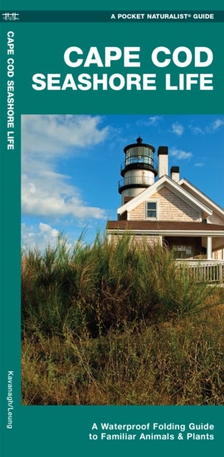 Cape Cod Seashore Life, 2nd Ed - A Waterproof Folding Guide to Familiar Animals & Plants
