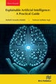 Explainable Artificial Intelligence: A Practical Guide