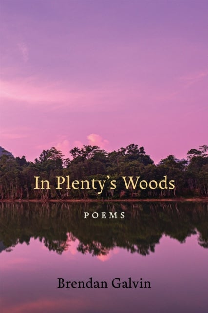 In Plenty's Woods - Poems