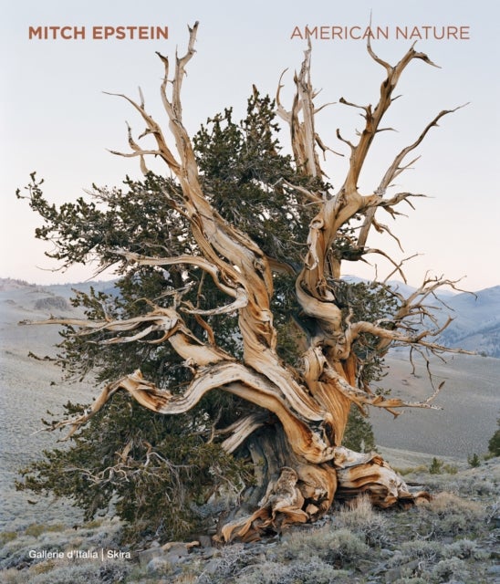 Mitch Epstein - American Nature