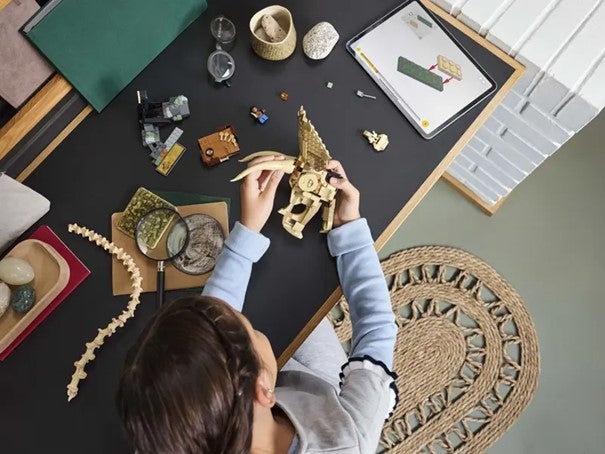 Lego Dinosaurfossiler triceratops-hodeskalle 76969