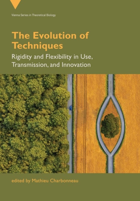 The Evolution of Techniques - Rigidity and Flexibility in Use, Transmission, and Innovation
