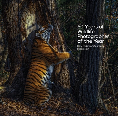 60 Years of Wildlife Photographer of the Year - How Wildlife Photography Became Art